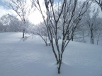 Perfect winter scenery in the upper slopes, with deep snow