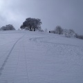 2013-02-25 019.JPG -- More untouched snow for us